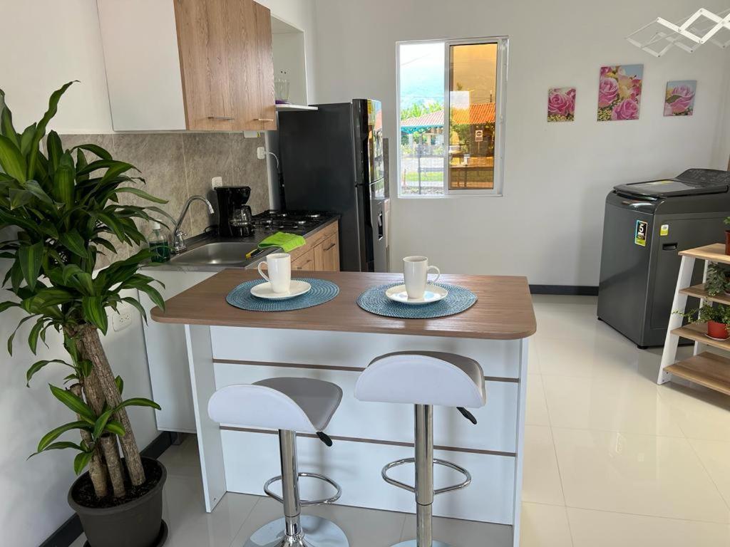 Apartment Astromelias