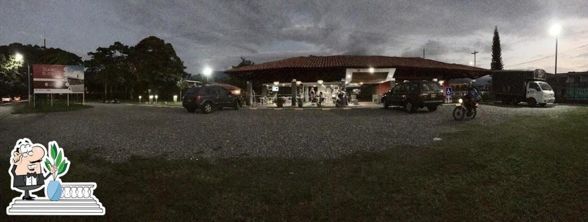 Astromelias Armenia (Quindio)