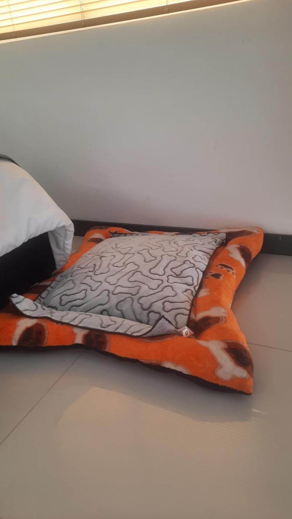Apartment Astromelias